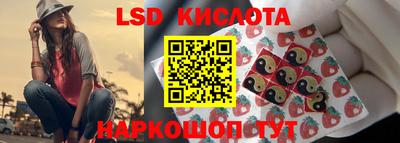 apvp Нальчик