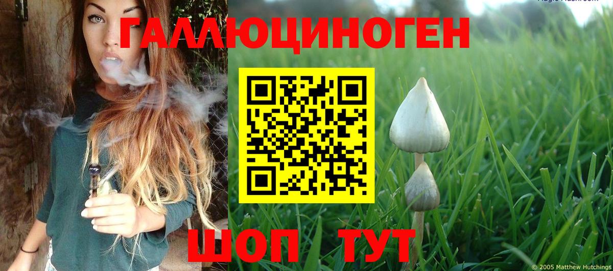 Галлюциногенные грибы Cubensis Чапаевск