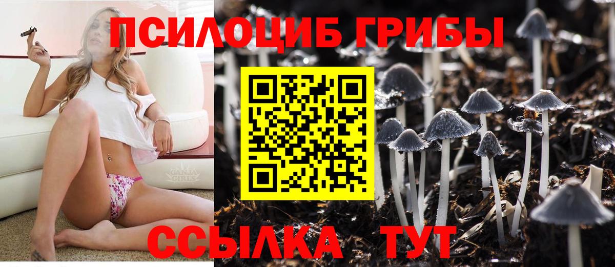Чапаевск  Псилоцибиновые грибы Magic Shrooms  Вход с VPN  Галлюциногенные грибы Cubensis 