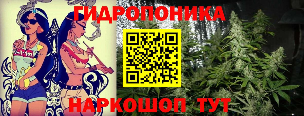 Марихуана Ganja  Канабис ГИДРОПОН  Вход с VPN  Чапаевск  Конопля гибрид  МАРИХУАНА THC 21% 